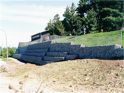 pgeW(wng)3